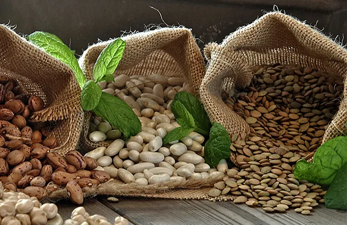 Las legumbres y su importancia para tener un óptimo estado de salud