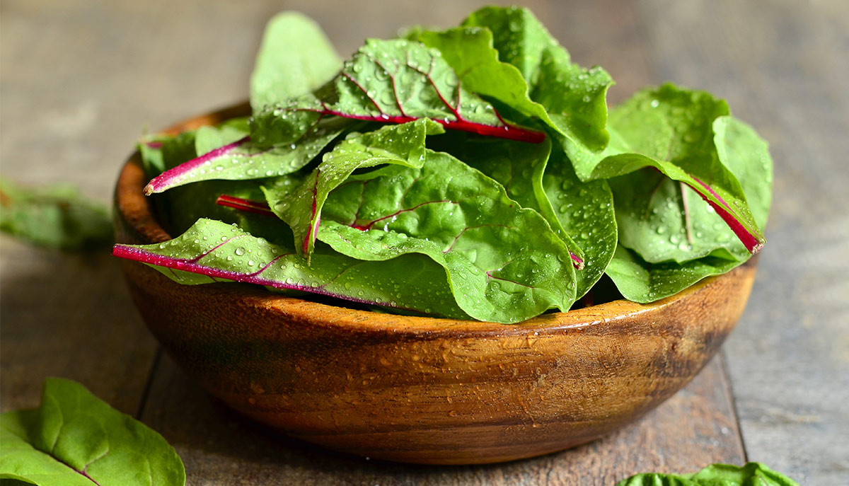 Hojas verdes imprescindibles en tu dieta