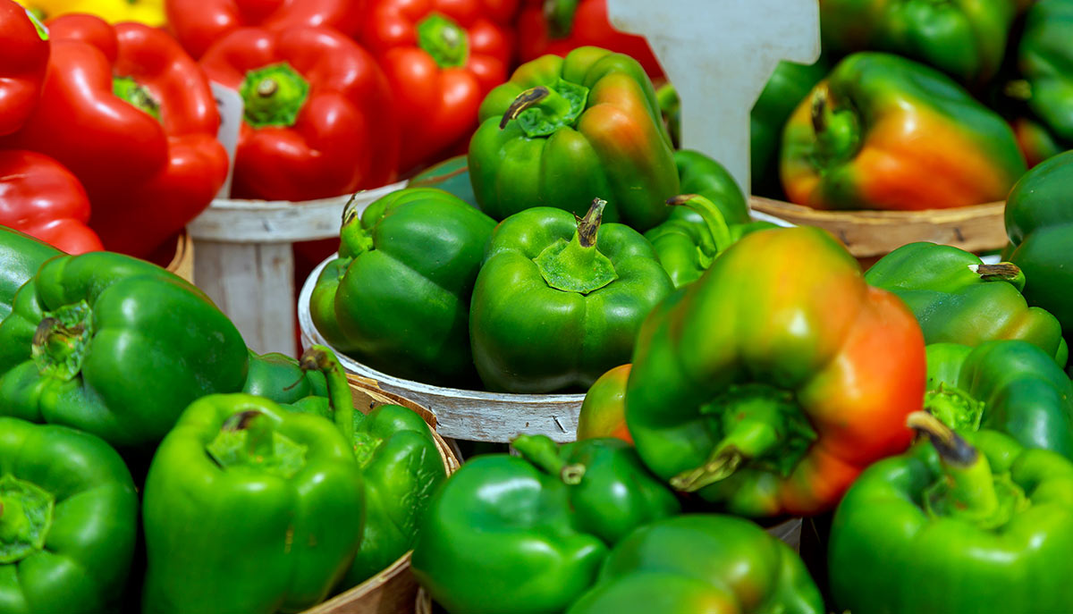 Pimientos, mucho más que diferentes colores