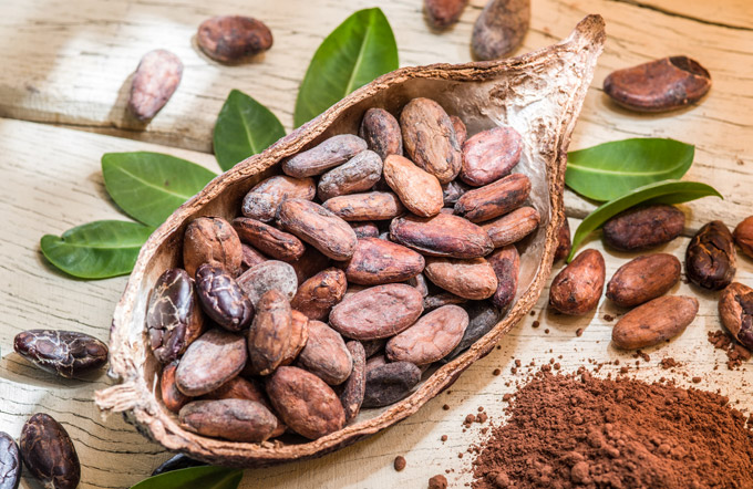 Todo sobre el chocolate