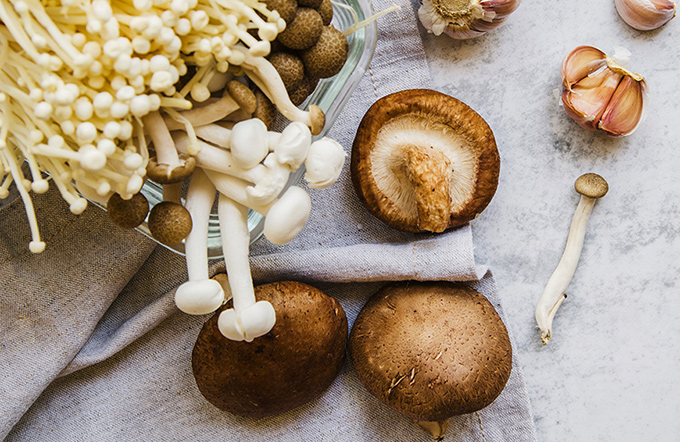 Cocinar setas, consejos prácticos para disfrutar de este saludable alimento