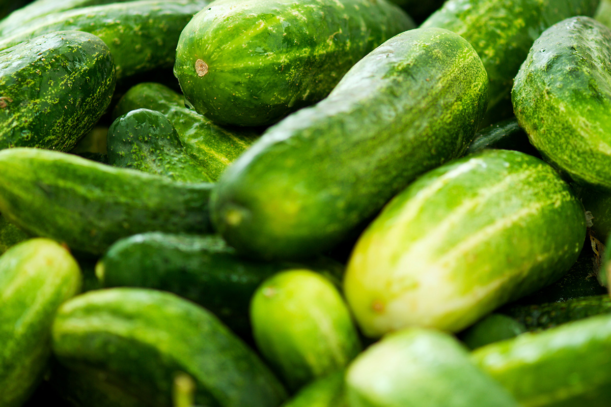 Pepino, bueno para dentro y para fuera